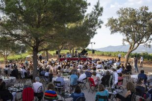 Música, natura i enologia tornen demà i dijous a la finca de Malaveïna