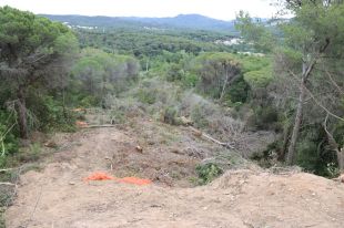 La plataforma Aturem la C-32 diu que segueixen els treballs malgrat la suspensió cautelar 