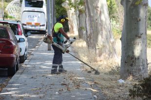 Figueres neteja la via pública de ''males herbes''