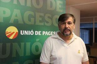 UP vol evitar que Girona sigui la porta d'entrada de la pesta porcina d'Eslovàquia