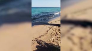Confonen unes aigües pluvials en una platja de Blanes amb un vessament de petroli