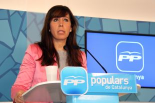 Camacho diu que el actes de Salt mostren 'la necessitat' del contracte d'integració per a immigrants 