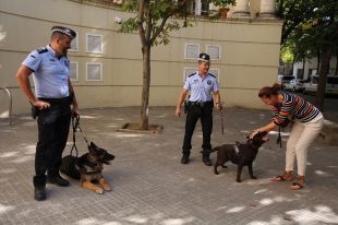 Relleu en la unitat canina de la Policia Municipal de Girona