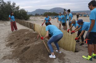 Un nou sistema accelerarà la formació de dunes a la Pletera de l'Estartit