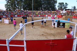 Vidreres consultarà als veïns el 18 de desembre si s'elimina la celebració de Correbous