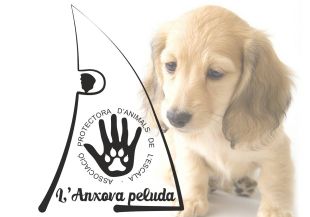 L'Escala vol derivar la recollida d'animals a la gossera de Figueres
