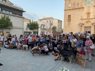 L'Escala aprova derivar la recollida d'animals a la gossera de Figueres en un ple tens i crispat