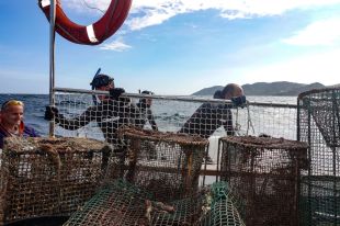 Recuperen 22 nanses de pesca, ploms i xarxes del fons marí d'El Port de la Selva