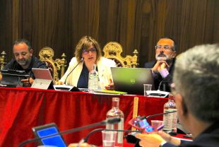 En error de forma obliga a ajornar la possible retirada de la medalla d'or de Figueres a Joan Carles I