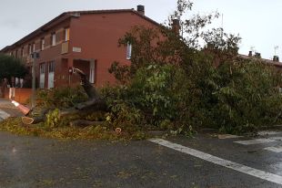 La llevantada castiga durament les comarques gironines