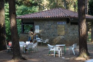 La massificació de visitants a Els Pins de la Vall d'en Bas obliga a reordenar la zona de pícnic
