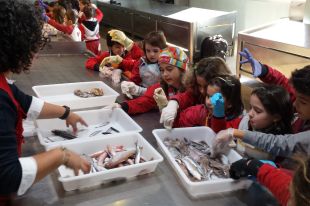 Palamós Peix apropa el producte i fomenta el consum entre els escolars