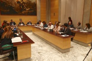 La Diputació de Girona facilitarà als ajuntaments l'accés a les subvencions per habitatge