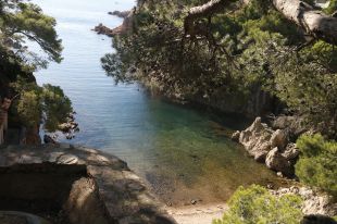 SOS Costa Brava s'oposa al nou projecte d'edificació d'Aigua Xelida a Palafrugell