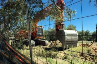 El futur camí de ronda de Palamós afecta diverses espècies d'aus protegides 