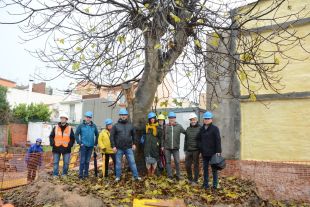 Calonge salvarà una figuera centenària d'un solar en obres
