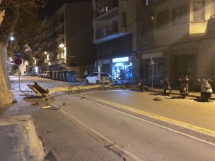 Vents de fins a 80 km/h arrenquen arbres i produeixen nombroses destrosses a Girona