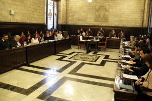 El ple de Girona exigeix a Educació que no elimini cap línia de P3 a la ciutat