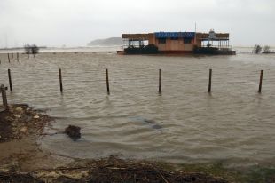 El temporal esborra les platges de l'Estartit i l'aigua del mar inunda baixos i carrers