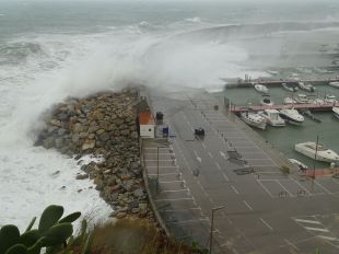 Mor un home al port de Palamós després de rebre un cop de mar