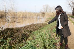 Preocupació entre els alcaldes del Baix Ter per la imminent crescuda del riu