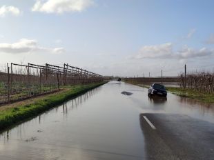 Un curtcircuit en una torre d'alta tensió negada deixa sense llum els veïns de Verges, la Tallada i Jafre