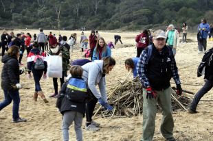 Un centenar de voluntaris netegen les platges de Palamós després del temporal