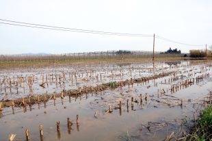 El litoral de l'Alt Empordà fa balanç dels danys provocats pel temporal Gloria