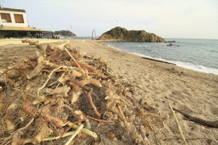 Blanes programa una neteja popular per recollir els residus del temporal Gloria