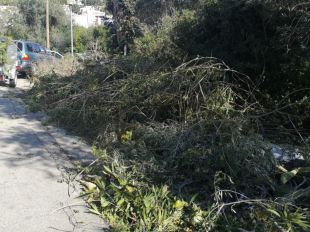 Sancionen amb 300 euros un abocament de restes vegetals a Mas Fumats de Roses