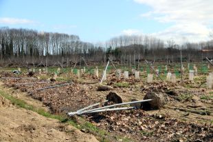 Agricultura aprova 5,4 MEUR en ajudes per a les explotacions agràries afectades pel Dana o pel Glòria