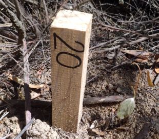No a la MAT denunciarà Red Eléctrica per les estaques al ramal de Riudarenes 