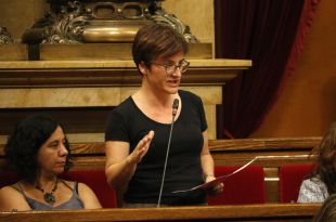 Els Comuns demanen una partida pel nou Trueta als pressupostos i que es faci a Domeny