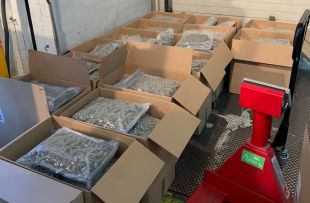 Quatre encaputxats assalten un camioner amb 265 quilos de marihuana a l'N-II al Gironès 