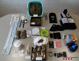 Tres detinguts en el dispositiu contra el tràfic de drogues a Figueres