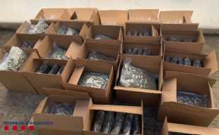 Tres detinguts a Lloret de Mar per transportar 75 quilos de marihuana envasada al buit