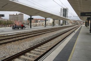 Interromput el servei de trens entre Girona i Barcelona per un arbre a la via