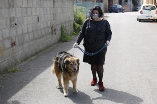 Figueres reactiva el servei d'acollida de mascotes per a personal sanitari i persones amb covid-19