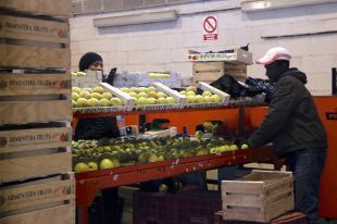 El pagesos gironins reclamen que l'estat d'alarma no talli la cadena de proveïdors