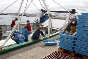 La llotja de Palamós es queda sense pesca d'arrossegament i és a un pas de tancar pel coronavirus 