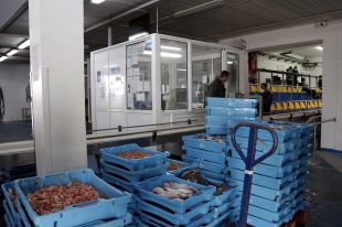 La confraria de pescadors de Palamós manté la subhasta i farà un ERTO pel coronavirus