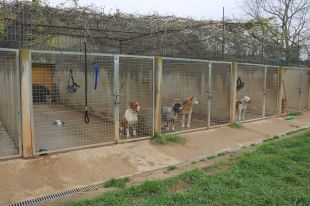Les protectores gironines alerten que estan ''al límit'' pel confinament