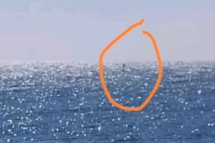 Denunciat un surfista a Llafranc que ha trencat el confinament per sortir a navegar