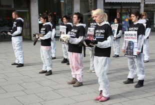 Una vintena d'activistes mostren cadàvers d'animals a Girona per rebutjar les pells com a vestimenta