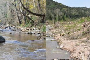Deu organitzacions ecologistes denuncien a la Fiscalia les actuacions de l'ACA a la riera d'Arbúcies
