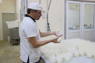 Els petits productors de làctics gironins aposten per la venda directa al consumidor