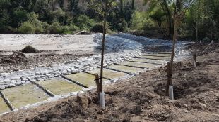 Els peixos ja poden superar la rasclosa de la Pilastra al Ter mitjançant una nova rampa
