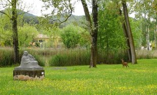 Enregistren un cabirol a l'Estany de Banyoles