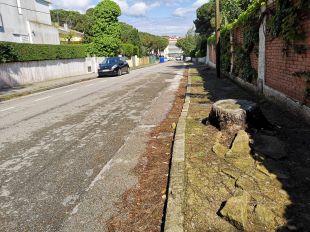Palamós aprova la segona fase per urbanitzar un sector de la zona de la Fosca