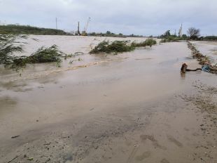 Desactivada l'alerta de l'Inuncat un cop estabilitzats els cabals dels rius